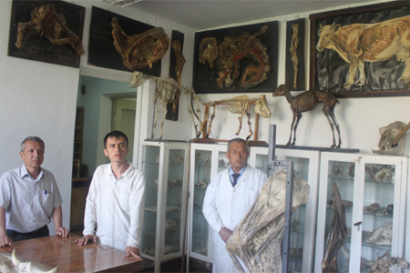 Поездка в Узбекистан и Киргизию