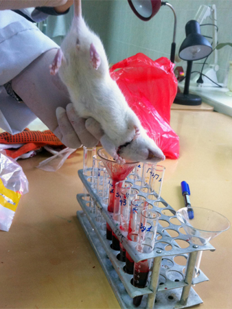 Staatlich-Medizinische Hochschule Ternopil - Institut für Klinische Pharmakologie